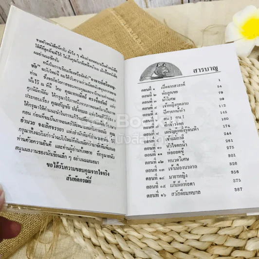 อาจารย์ศรีธนญชัย ศรีธนญชัยและน้อง รูปที่ 6
