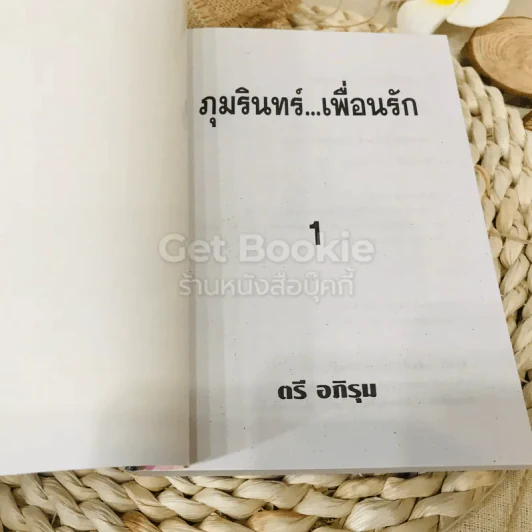 ภุมรินทร์เพื่อนรัก 2 เล่มจบ รูปที่ 5