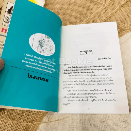 ทางรัก 2 เล่มจบ รูปที่ 6