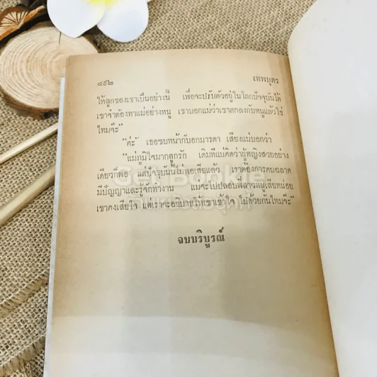 เทพบุตร 2 เล่มจบ รูปที่ 8