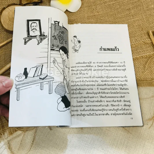 เด็กชายมะลิวัลย์ รูปที่ 8