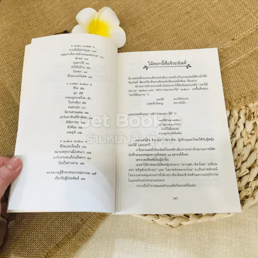 ใบไม้ที่หายไป รูปที่ 8