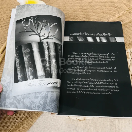 The Top Secret เดอะท็อปซีเคร็ต รูปที่ 11