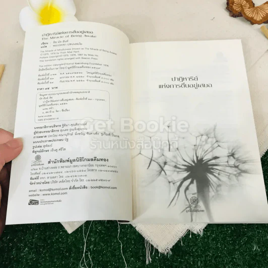 ปาฎิหาริย์แห่งการตื่นอยู่เสมอ รูปที่ 4