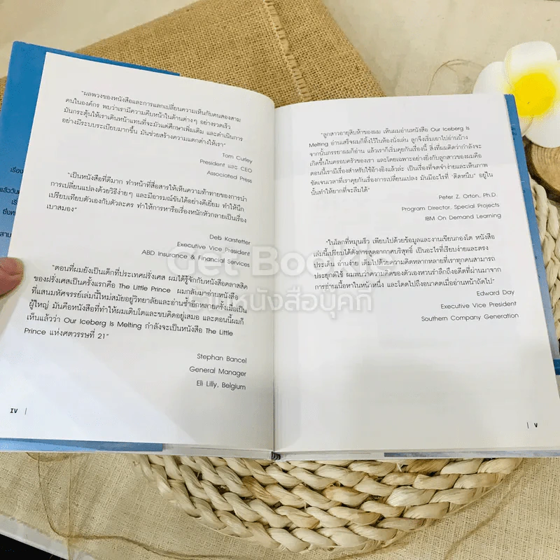 เมื่อภูเขาน้ำแข็งละลาย รูปที่ 5