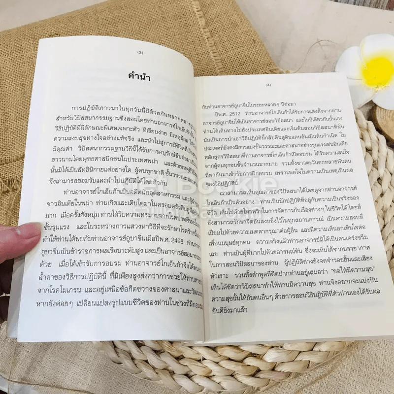 ศิลปะในการดำเนินชีวิต รูปที่ 8