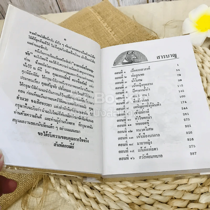 อาจารย์ศรีธนญชัย ศรีธนญชัยและน้อง รูปที่ 6