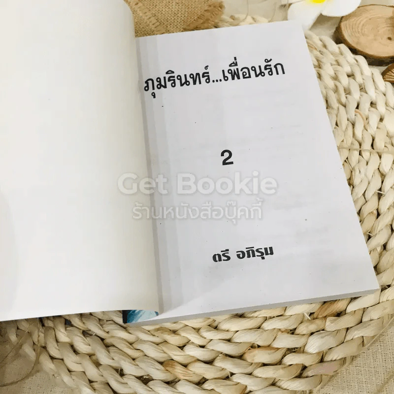 ภุมรินทร์เพื่อนรัก 2 เล่มจบ รูปที่ 9