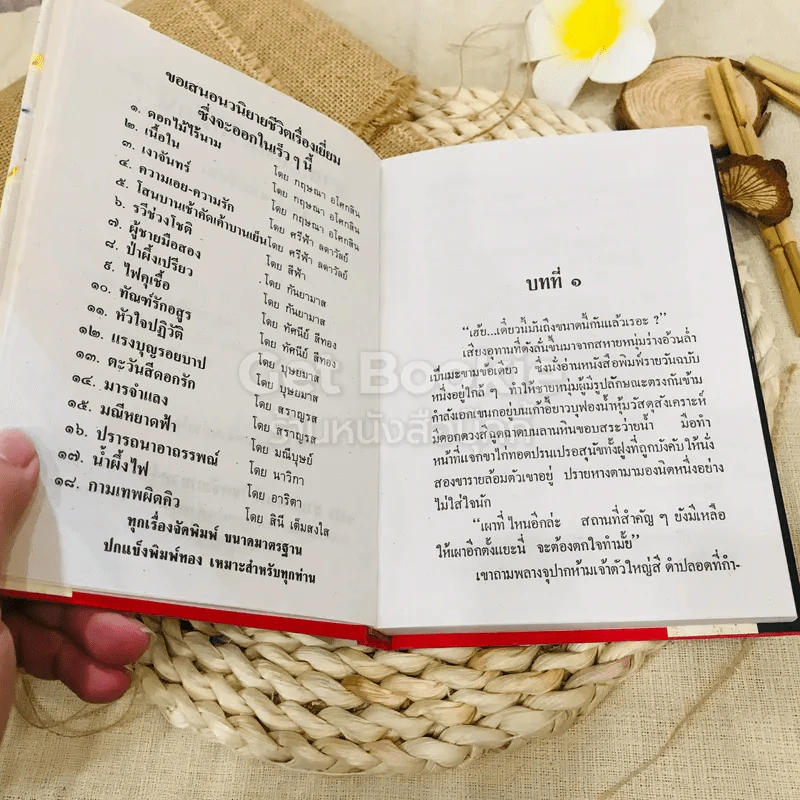 ขายสดหรือผ่อน 2 เล่มจบ รูปที่ 13
