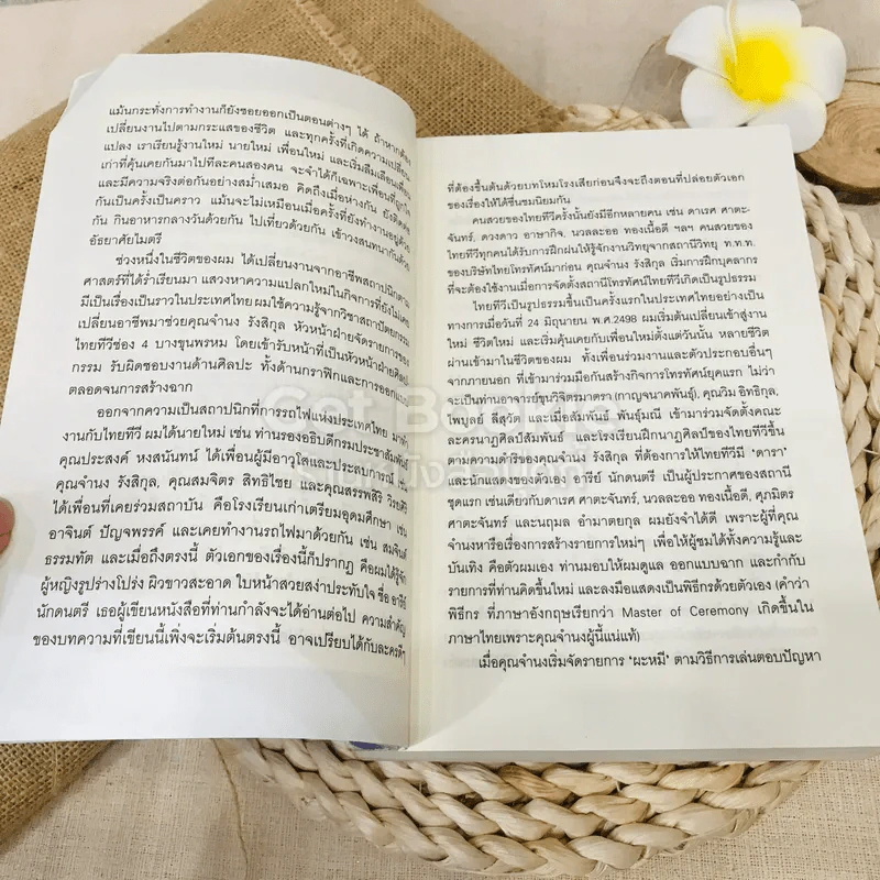 โลกมายาของอารีย์ รูปที่ 7