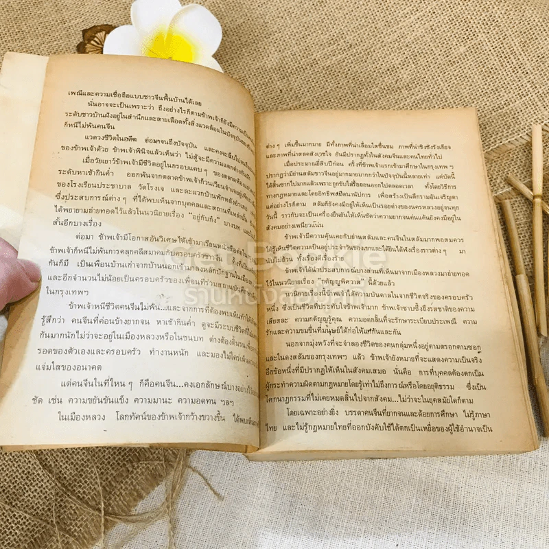 กตัญญูพิศวาส - หยก บูรพา รูปที่ 9