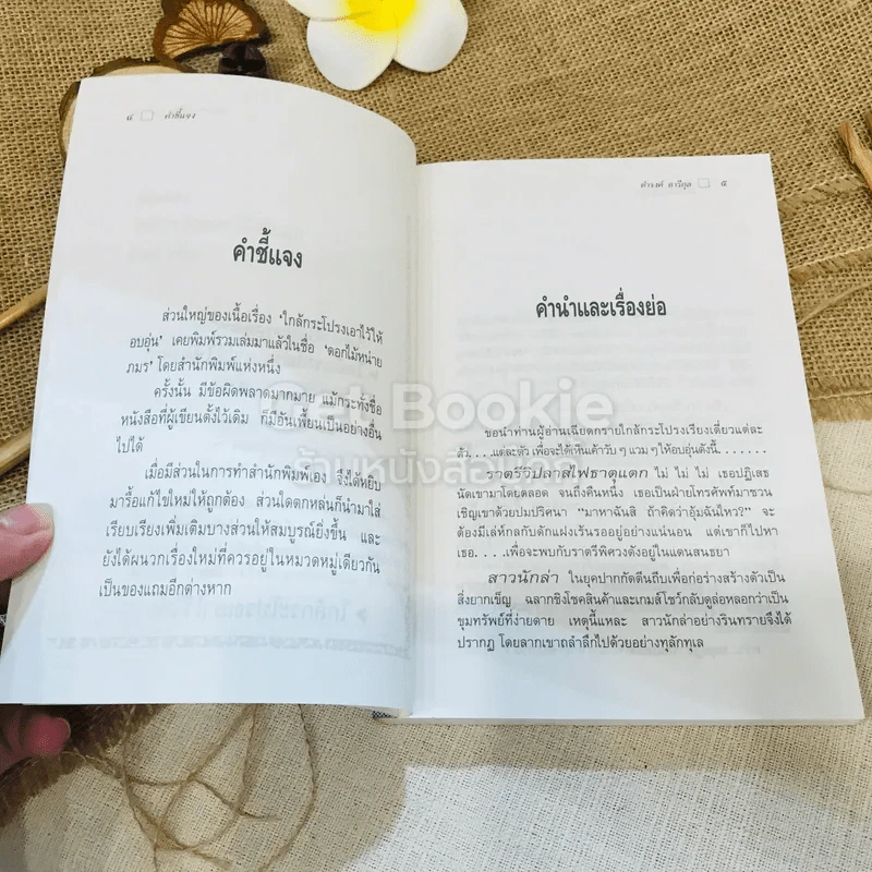 ใกล้กระโปรงเอาไว้ให้อบอุ่น - ดำรงค์ อารีกุล รูปที่ 6