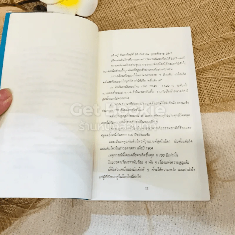 นางฟ้าสึนามิ รูปที่ 8