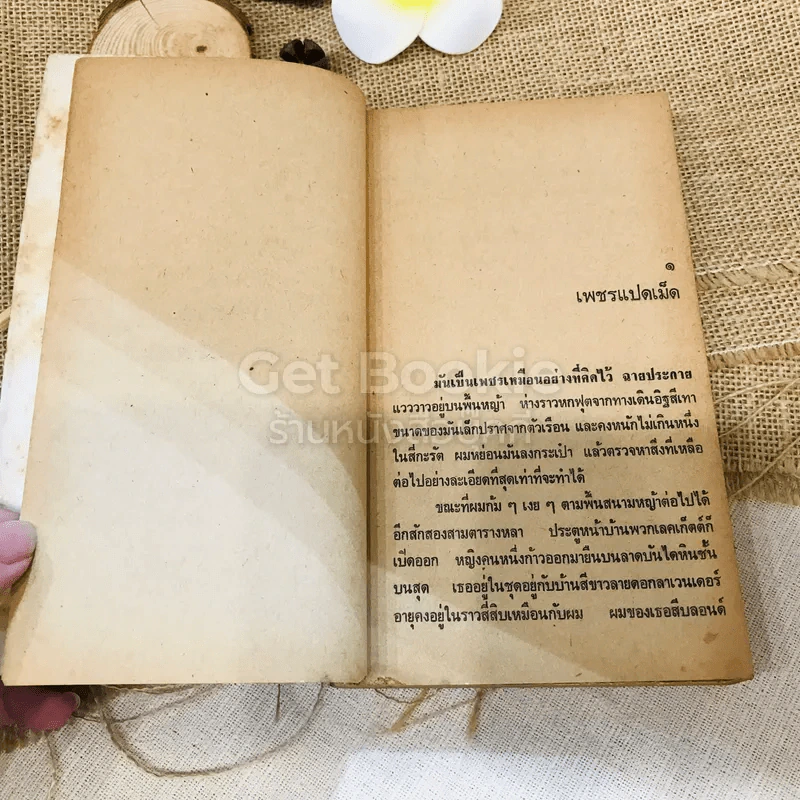ปริศนาคำสาปมรณะ รูปที่ 7