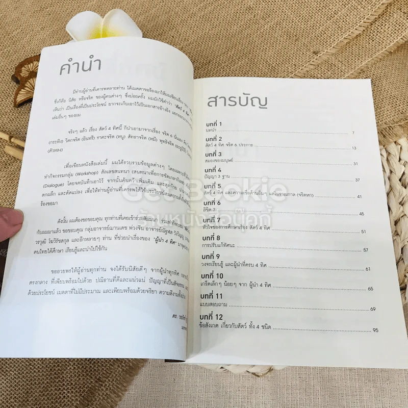 ศิษย์สี่ทัศน์ ศาสตร์แห่งการค้นพบตัวเอง รูปที่ 6