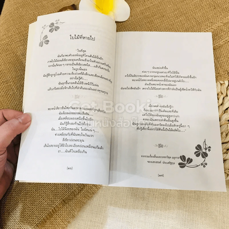 ใบไม้ที่หายไป รูปที่ 12