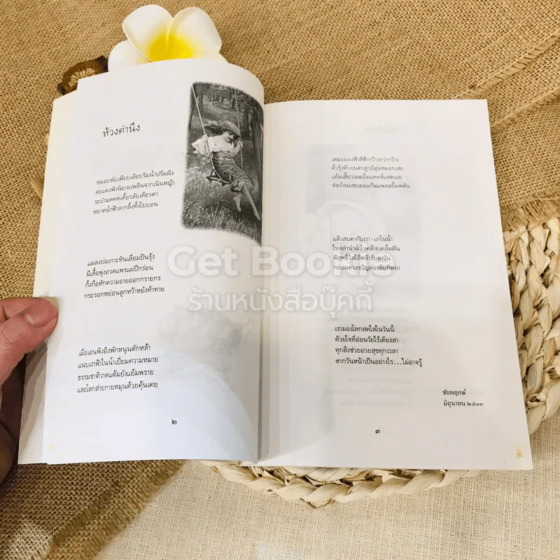 ใบไม้ที่หายไป รูปที่ 13