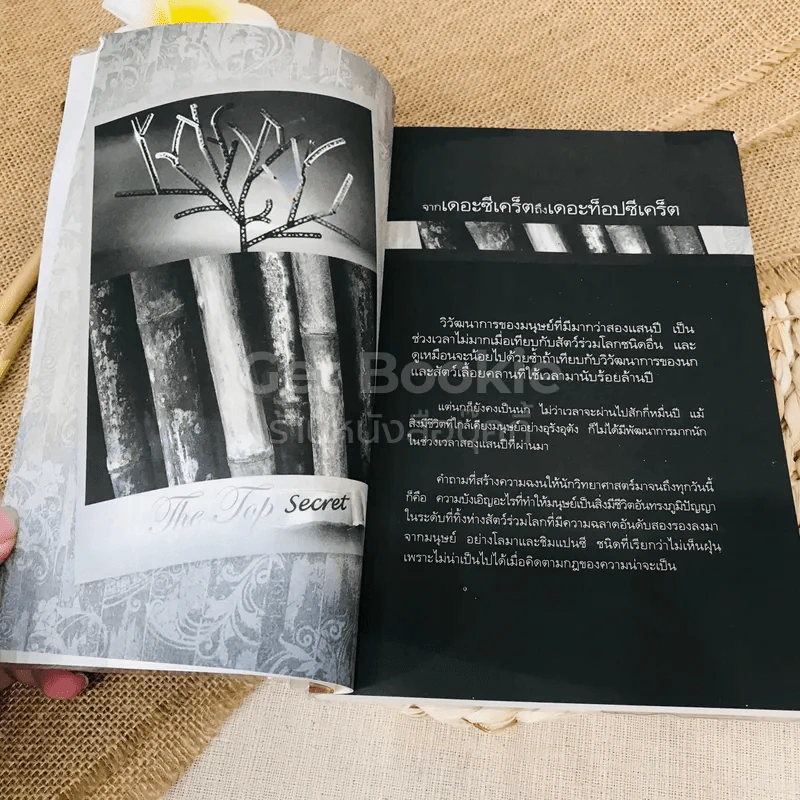 The Top Secret เดอะท็อปซีเคร็ต รูปที่ 11
