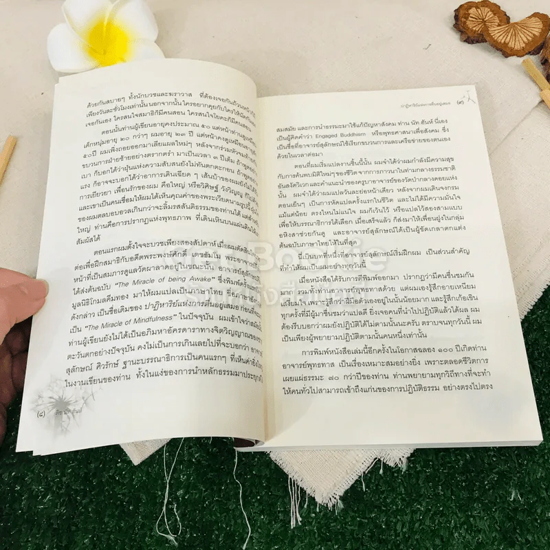 ปาฎิหาริย์แห่งการตื่นอยู่เสมอ รูปที่ 7
