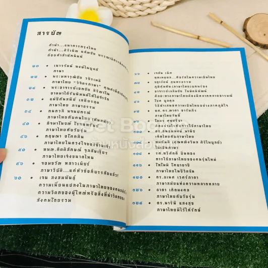 ยารัก (ภา)ษาไทย รูปที่ 10