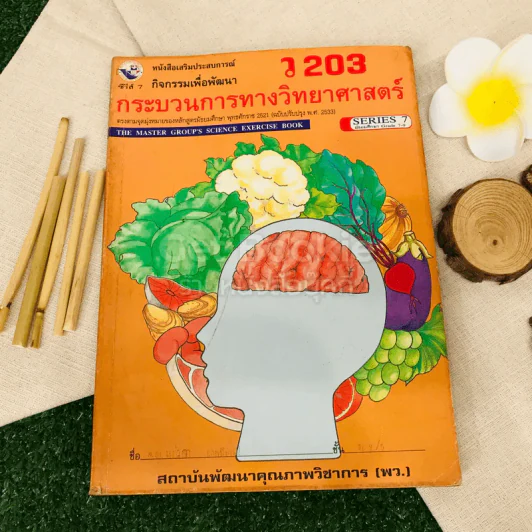 กระบวนการทางวิทยาศาสตร์ ว203 รูปที่ 1