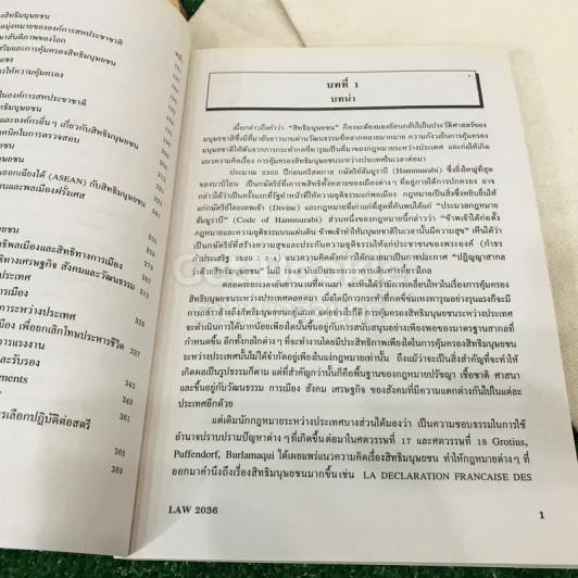 สิทธิมนุษยชน Human Rights LAW2036 รูปที่ 10