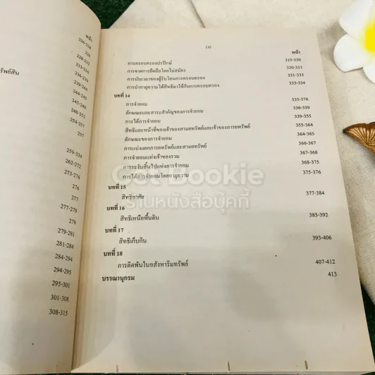 กฎหมายแพ่งและพาณิชย์ว่าด้วยทรัพย์ LAW2001 รูปที่ 10