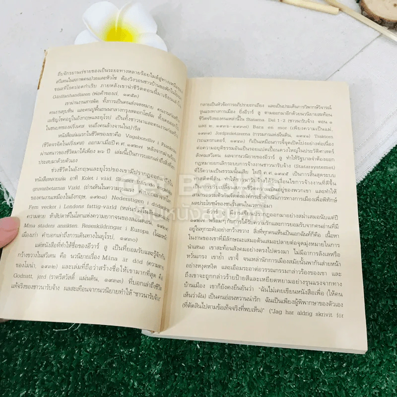 คนไม่รู้หนังสือ รูปที่ 11