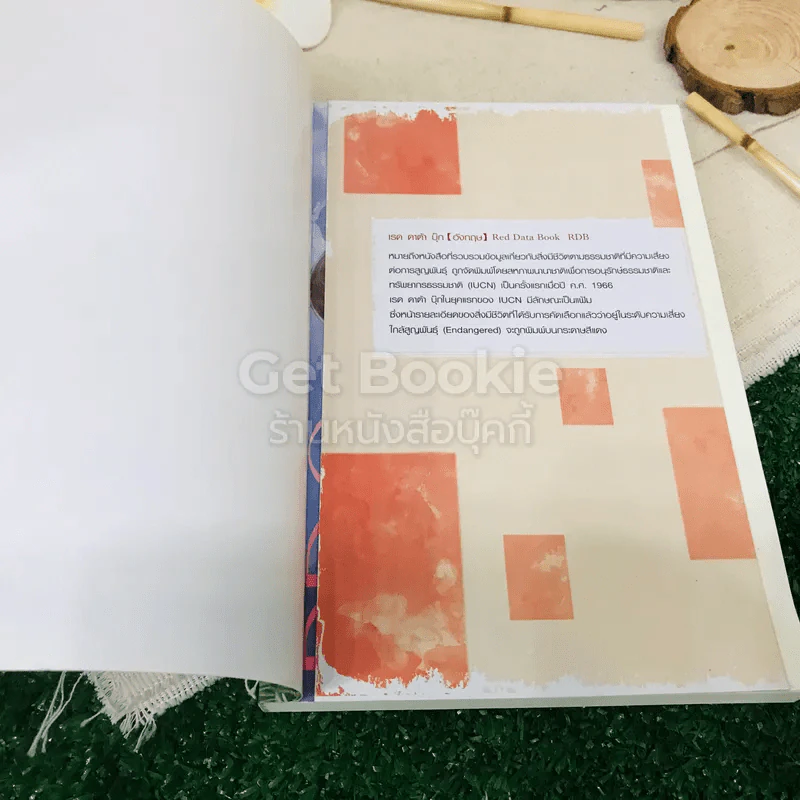 RDG 1 ตอน ภูตรับใช้ตนแรก Vol.01 รูปที่ 4