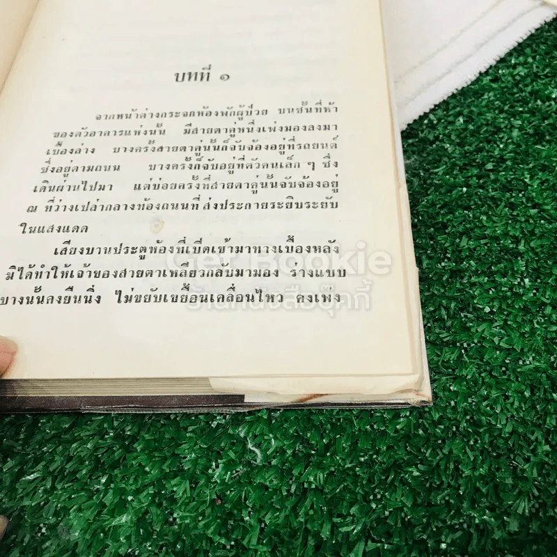 ไฟอารมณ์ รูปที่ 6
