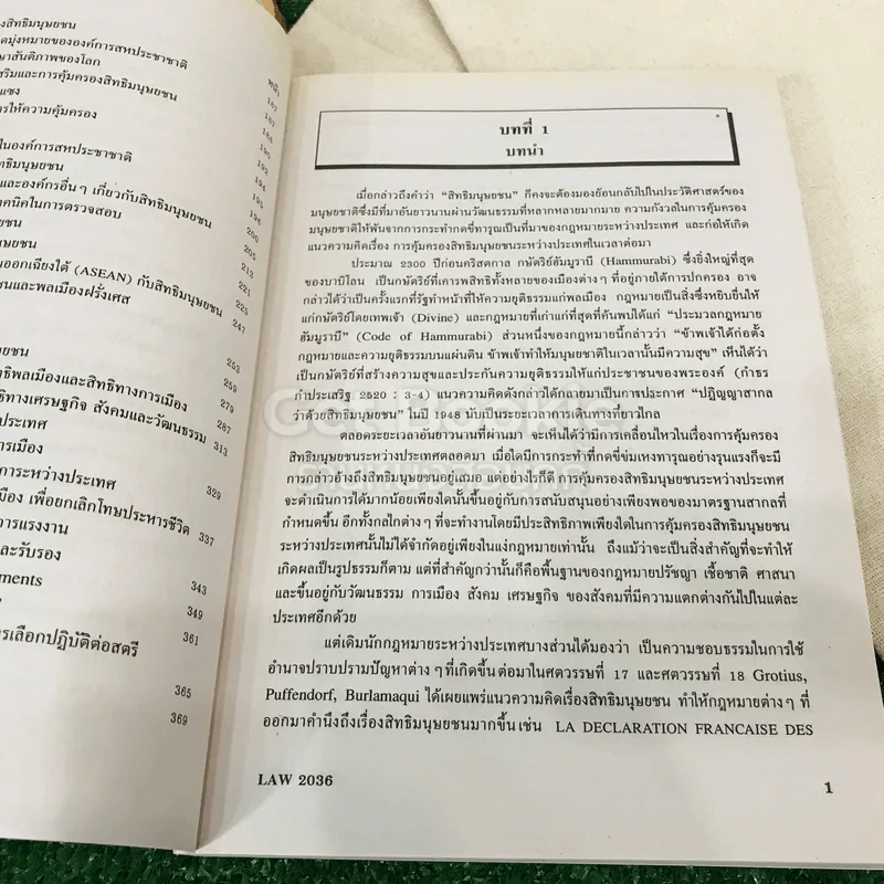 สิทธิมนุษยชน Human Rights LAW2036 รูปที่ 10