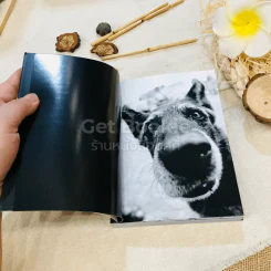 Keep Barking รูปที่ 5