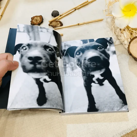 Keep Barking รูปที่ 11