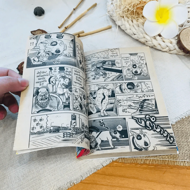 บ๊อกบ๊อก เล่ม 2 รูปที่ 7