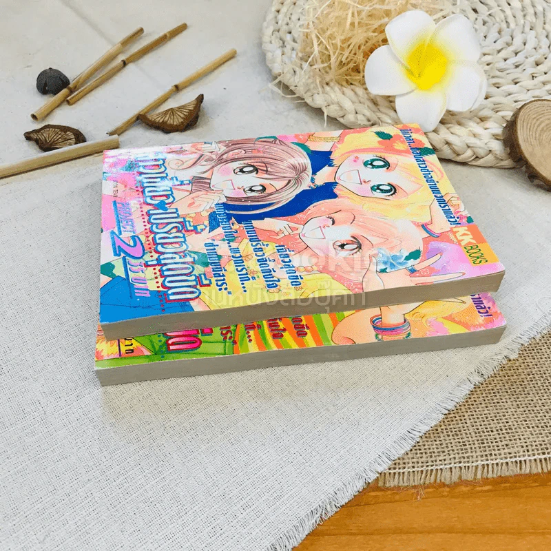 สาวเฉี่ยวเปรี้ยวสุดขีด เล่ม 1-2 รูปที่ 2