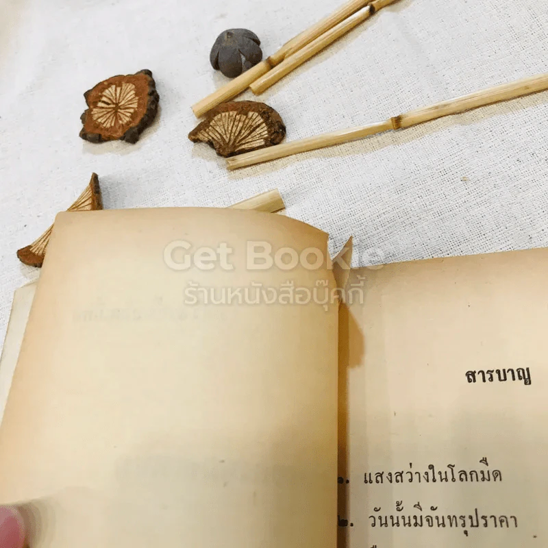 เรื่องของหมอเหนอ รูปที่ 5