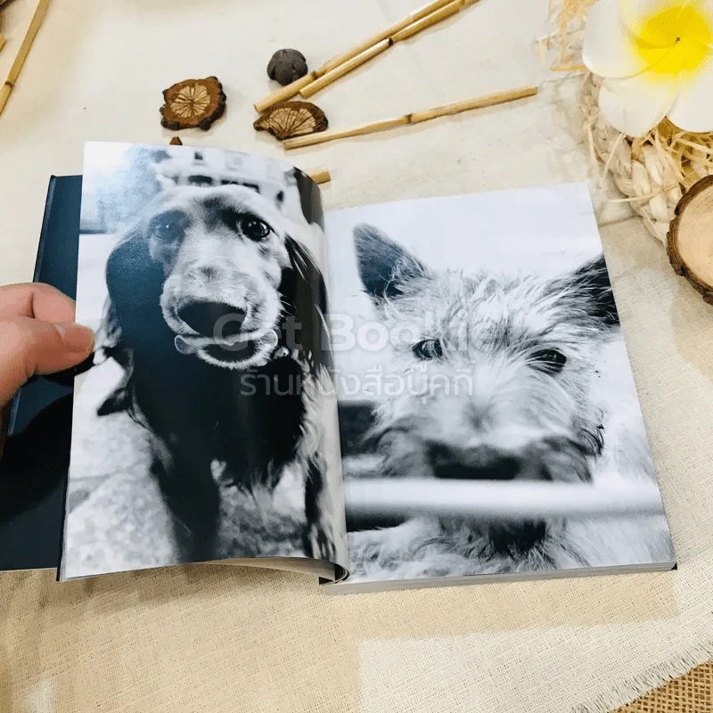 Keep Barking รูปที่ 10