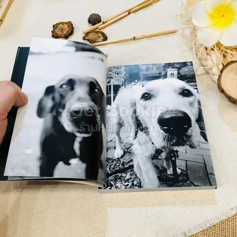 Keep Barking รูปที่ 9
