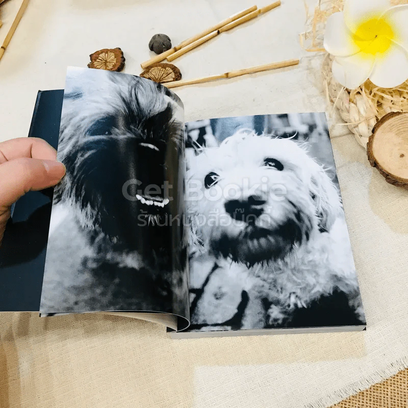 Keep Barking รูปที่ 7