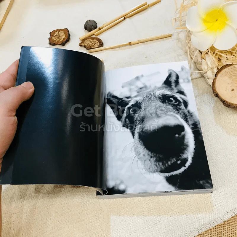 Keep Barking รูปที่ 5