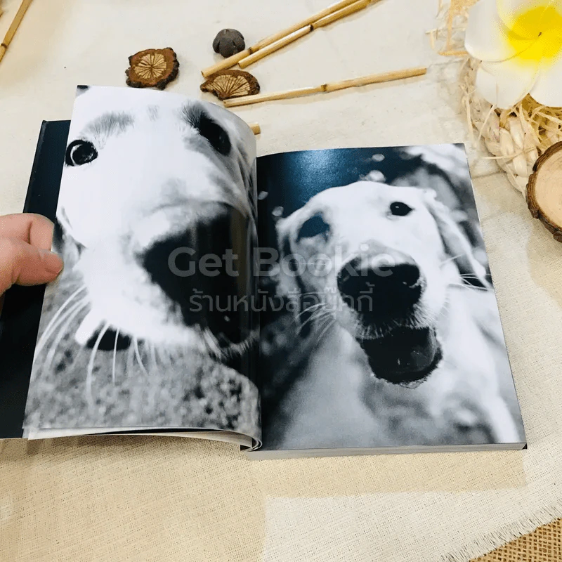 Keep Barking รูปที่ 12