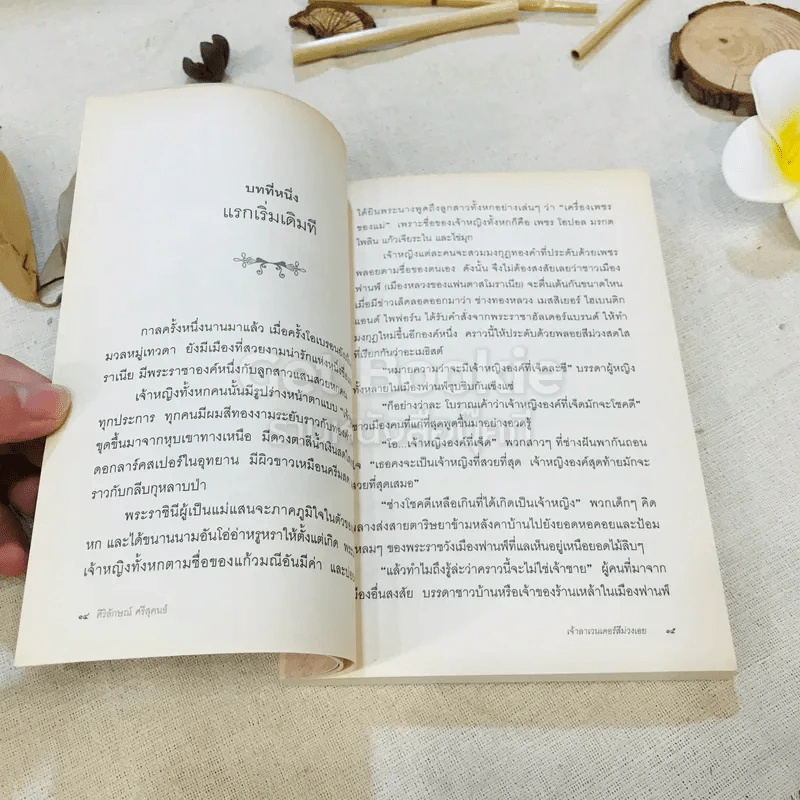 เจ้าลาเวนเดอร์สีม่วงเอย รูปที่ 8