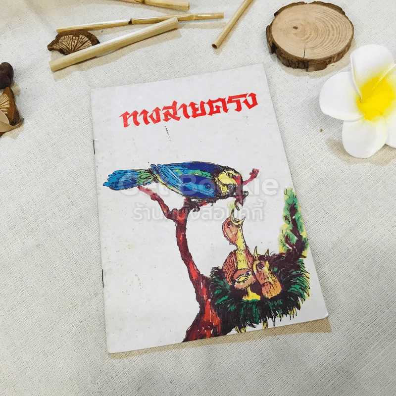 ทางสายตรง รูปที่ 1