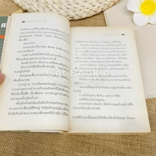 ตามหาข้าพเจ้า รูปที่ 11