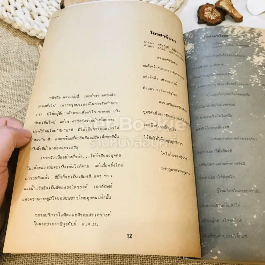 รวมเพลงพระราชนิพนธ์และเพลงปลุกใจ รูปที่ 13