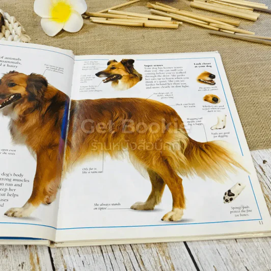 Pet Care Guides For Kids PUPPY รูปที่ 12
