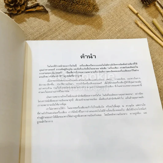 เครื่องเสียง ศาสตร์และศิลปะในการถ่ายทอดเสียงดนตรี รูปที่ 6