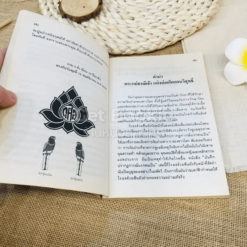 บันทึกปรากฎการณ์นำโดย พระอรหันต์จี้กง รูปที่ 11