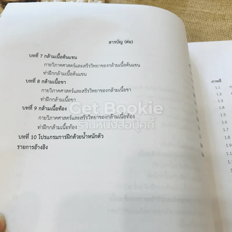 การประยุกต์กายวิภาคศาสตร์และสรีรวิทยา สู่การฝึกด้วยน้ำหนักตัว รูปที่ 8