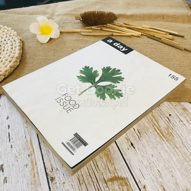 a day 155 รูปที่ 3